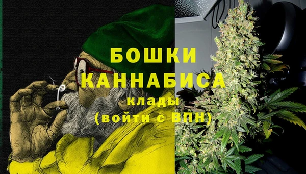 мдпв Михайловск