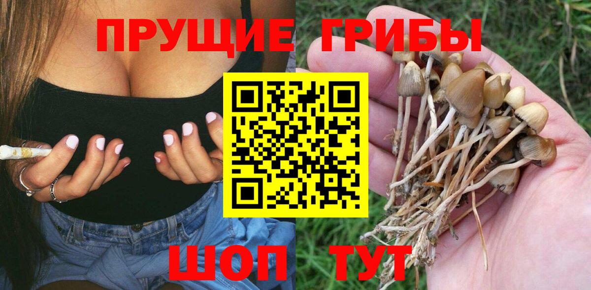 Псилоцибиновые грибы Psilocybine cubensis  Вход с VPN  Богородицк 
