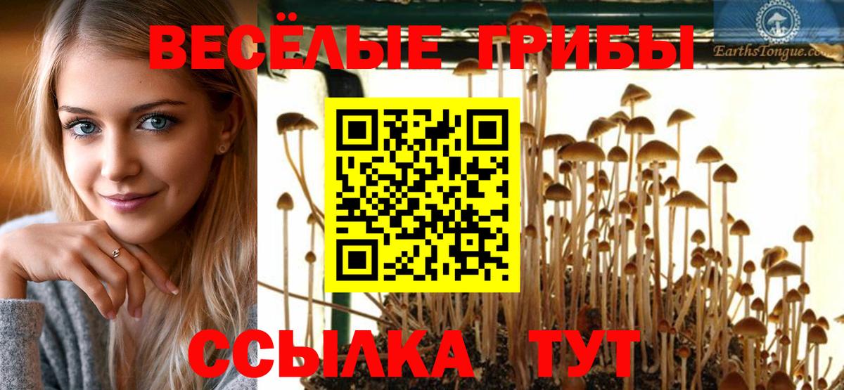 Галлюциногенные грибы Cubensis  Галлюциногенные грибы Psilocybe  где купить наркотик  Богородицк 