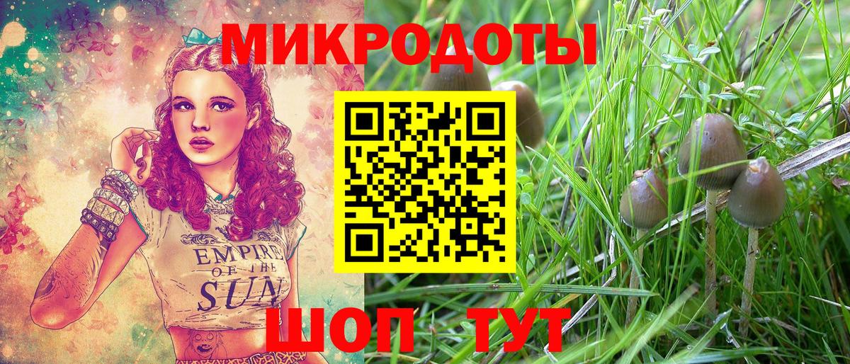 Галлюциногенные грибы Psilocybe Богородицк