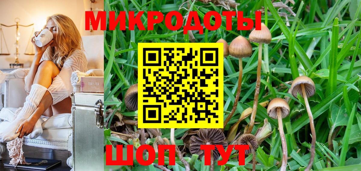 Галлюциногенные грибы мицелий Богородицк