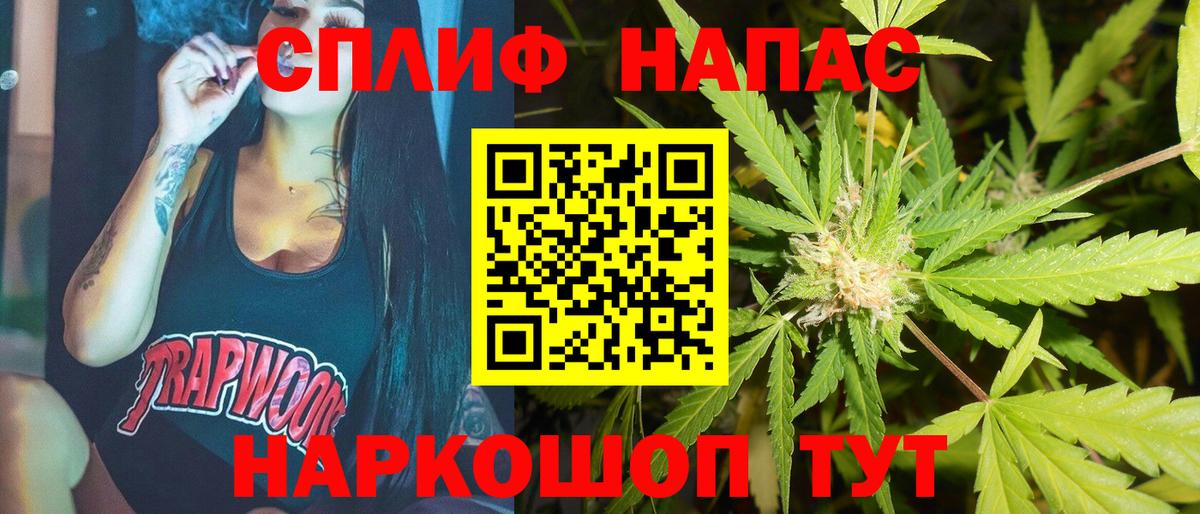 Каннабис план  Вход с VPN  Конопля сатива  Бошки марихуана сатива  Богородицк 