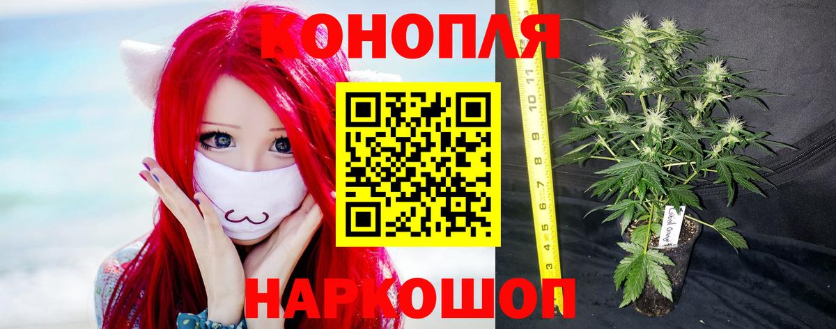 Марихуана Ganja  Богородицк  Шишки марихуана тримм  Бошки Шишки AK-47  МАРИХУАНА семена 